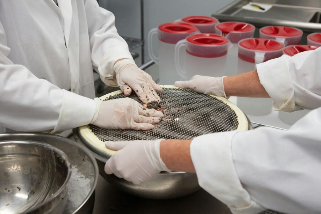 Person Holding a Stainless Bowl
